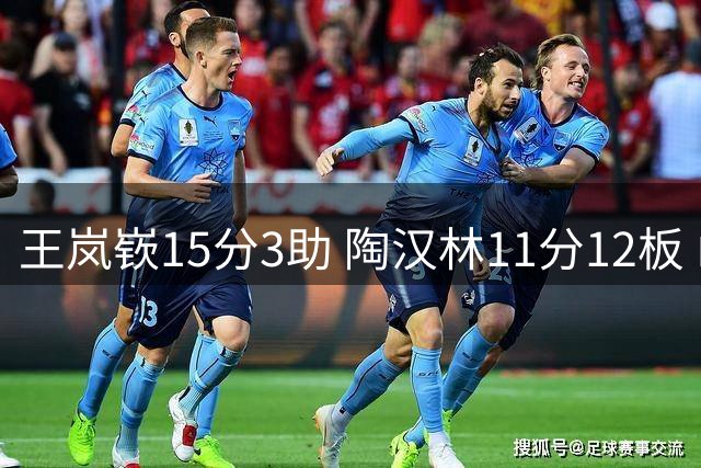 王岚嵚15分3助 陶汉林11分12板 山东胜山西夺夏联青岛站季军